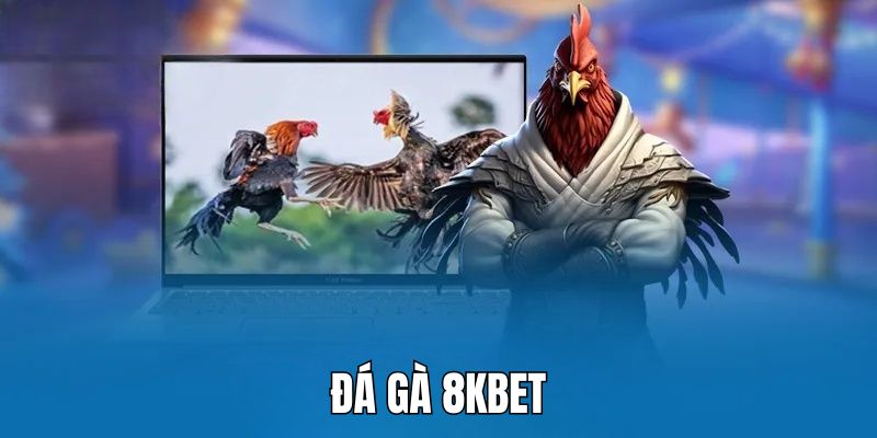 Đá gà 8kbet