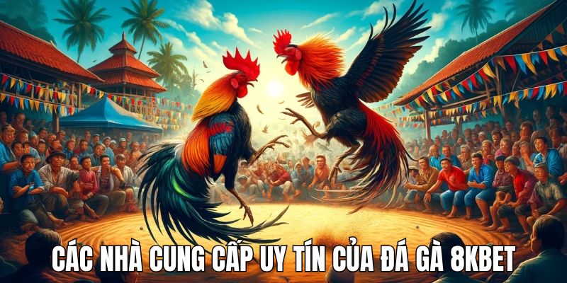 Đá gà 8kbet được phát hành bởi nhà cung cấp uy tín