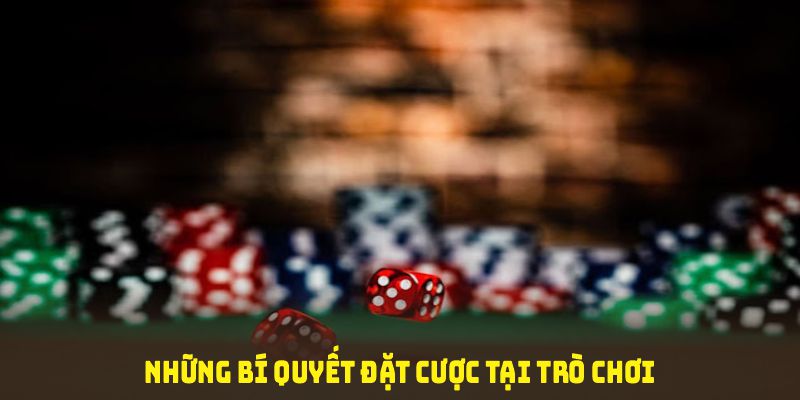 Những bí quyết đặt cược tại trò chơi tài xỉu 8KBET bạn nên nhớ